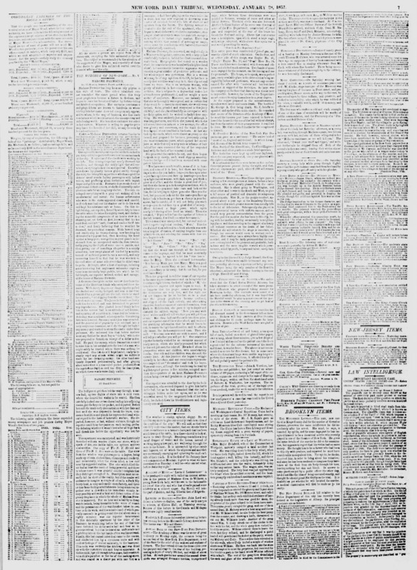 A New York Tribune article written as part of the "The Witches of New-York" series by Mortimer Thomson.